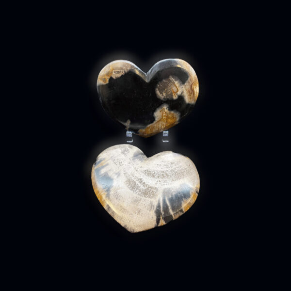 Petrified Wood Heart